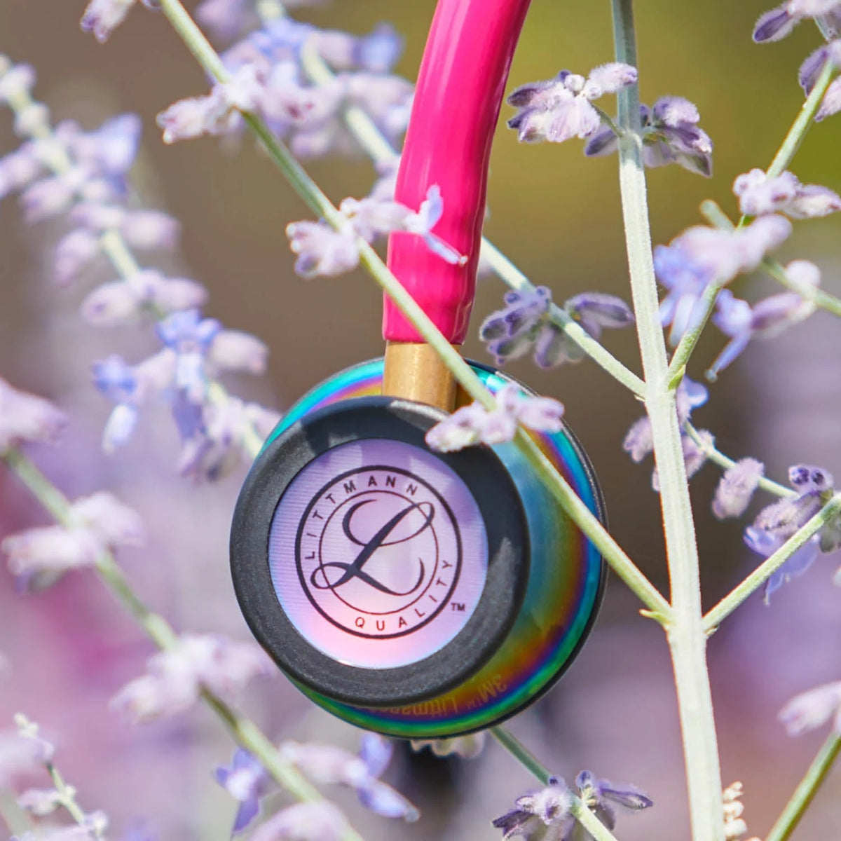 Stéthoscope Littmann Classic 3 Framboise Rainbow Arc_en_ciel 5806 Maroc